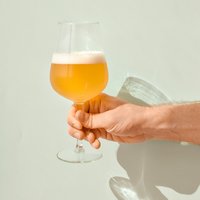 schönes Bierglas mit Craftbeer